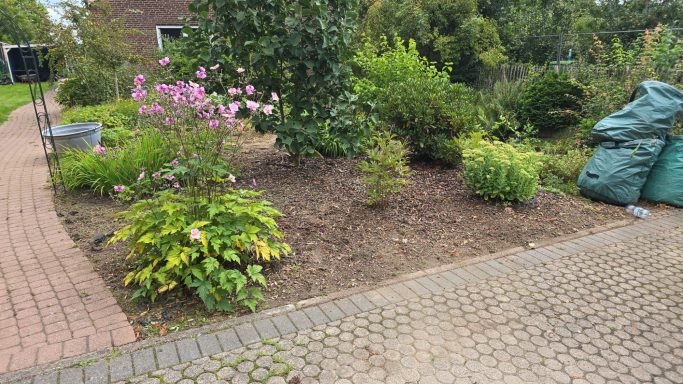 Unkraut raus, Ordnung rein – Kunde freut sich.